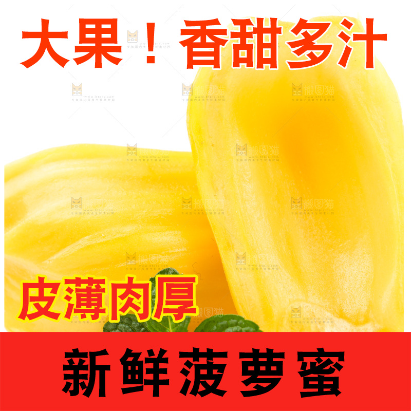 浅底上的海南菠萝蜜
