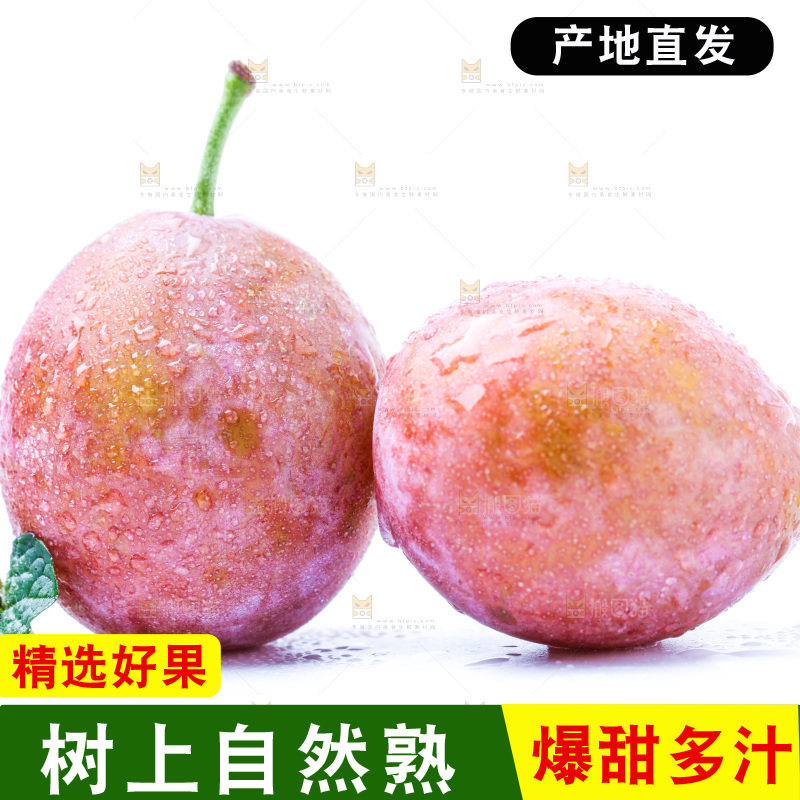 白底上的西梅