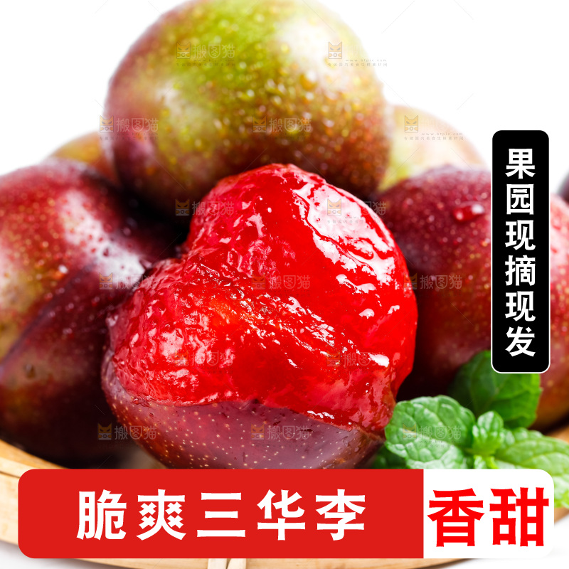 篮子里装着钱排三华李