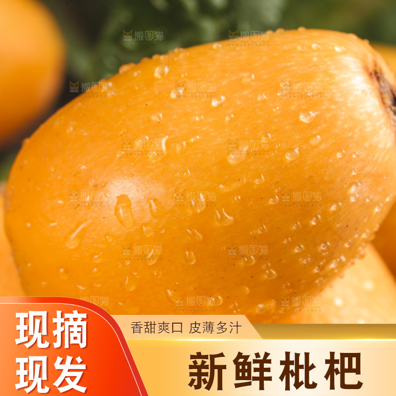 篮子里装着新鲜枇杷
