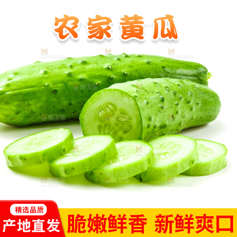白底上放着旱黄瓜