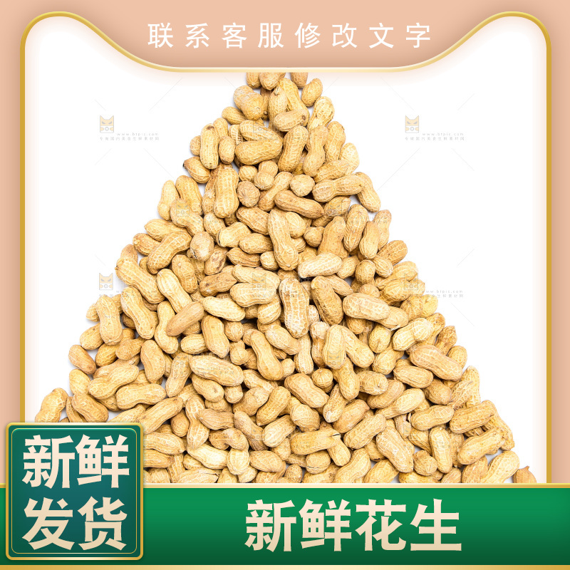 坚果纹理素材