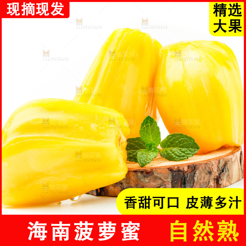 白底上的海南菠萝蜜