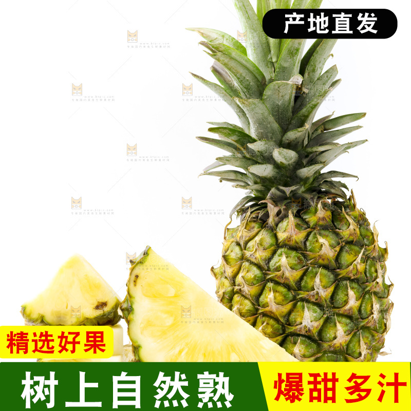 白底上摆放着海南凤梨