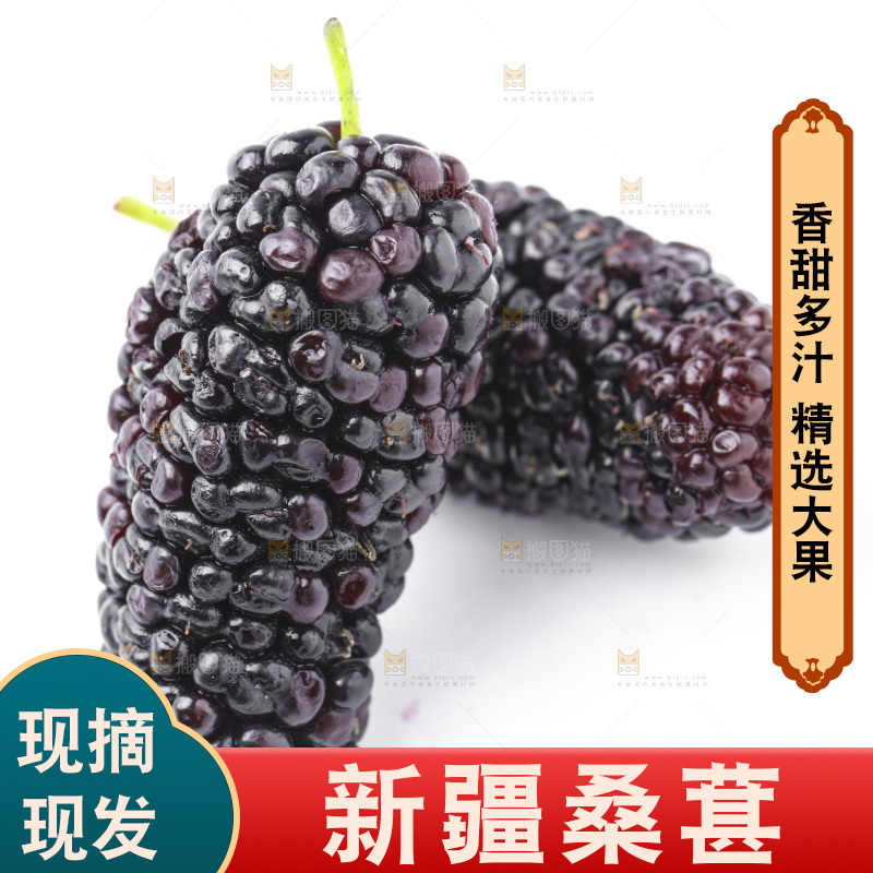 白底上摆放着桑葚