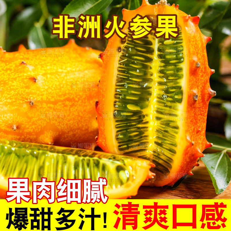 木底上摆放着海参果