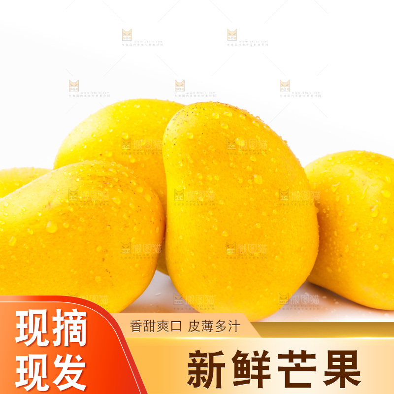 浅底上的海南小台农芒