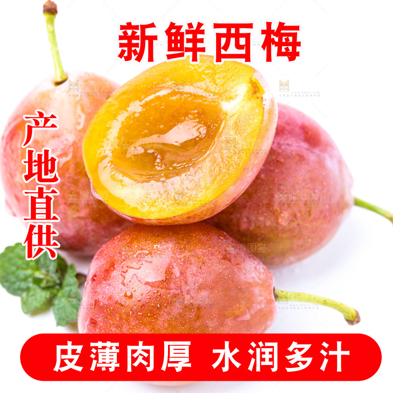 白底上的新疆法兰西西梅
