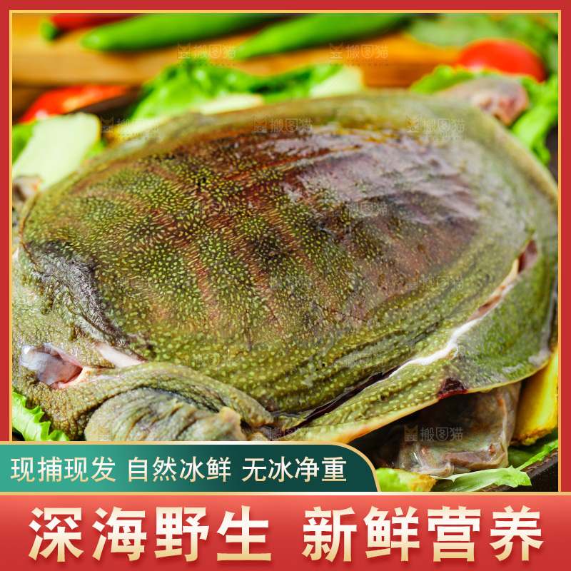 盘子里装着甲鱼