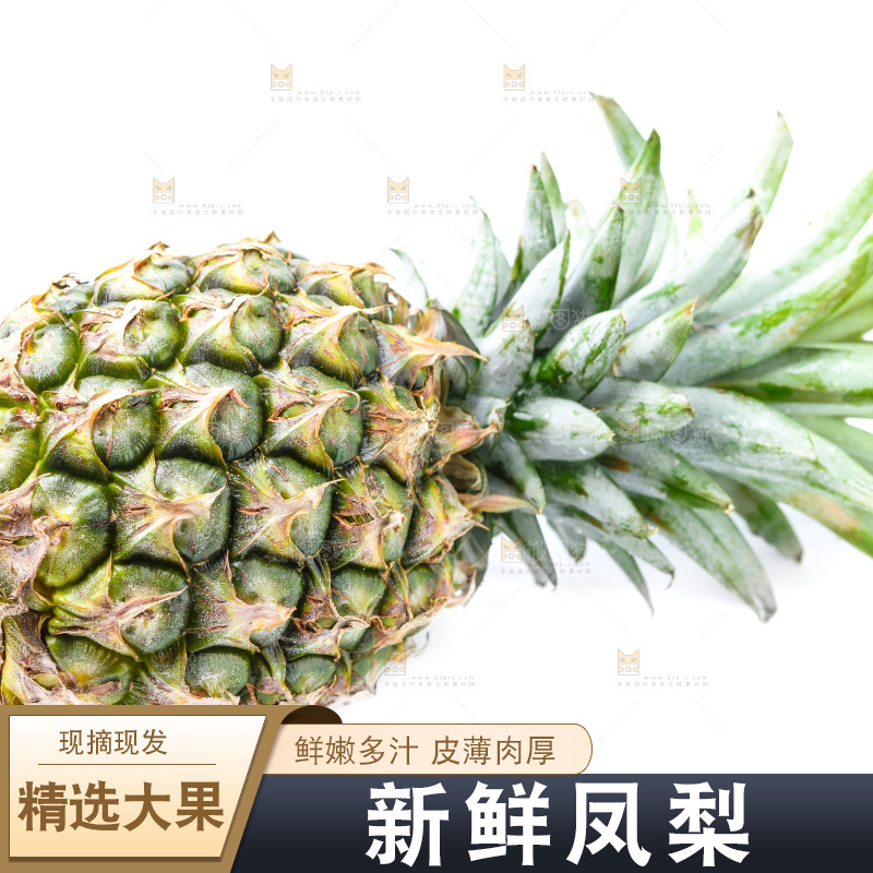 白底上的金钻凤梨