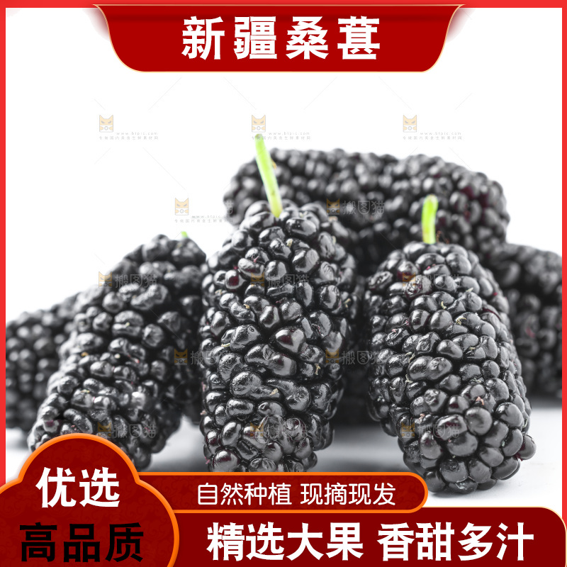 白底上的桑枣