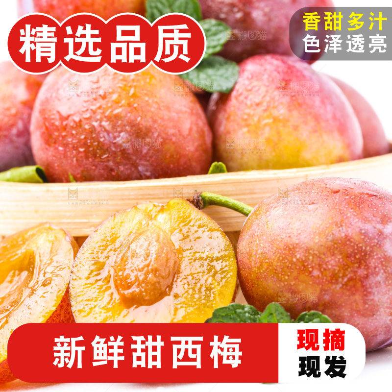 浅底上的新疆西梅