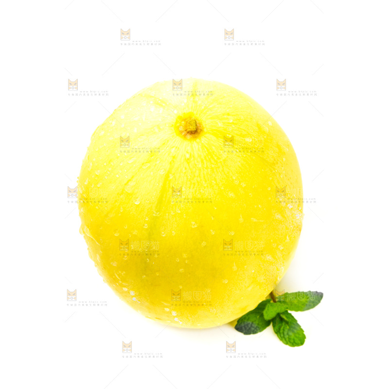 白底上的甜瓜