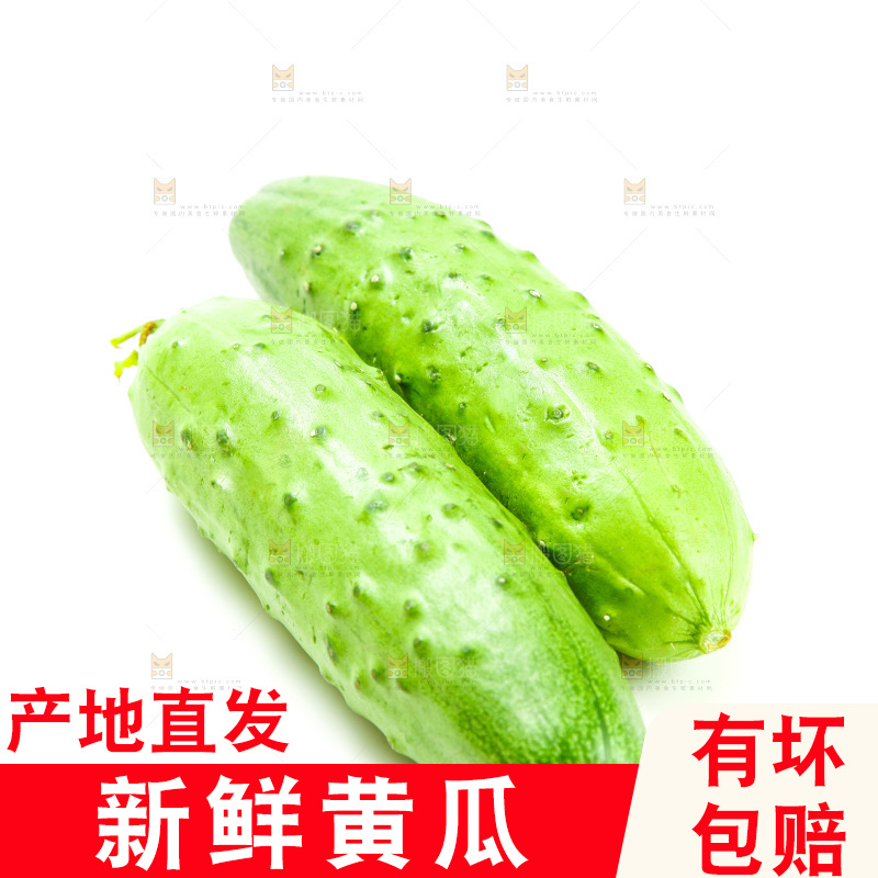 白底上放着旱黄瓜