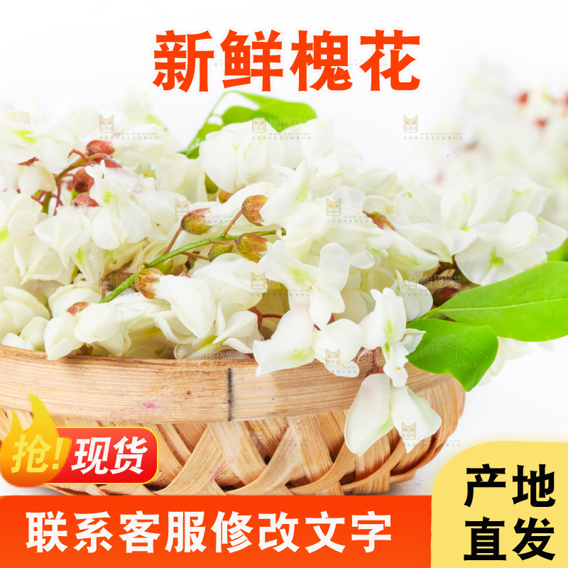 篮子里装着天然洋槐花