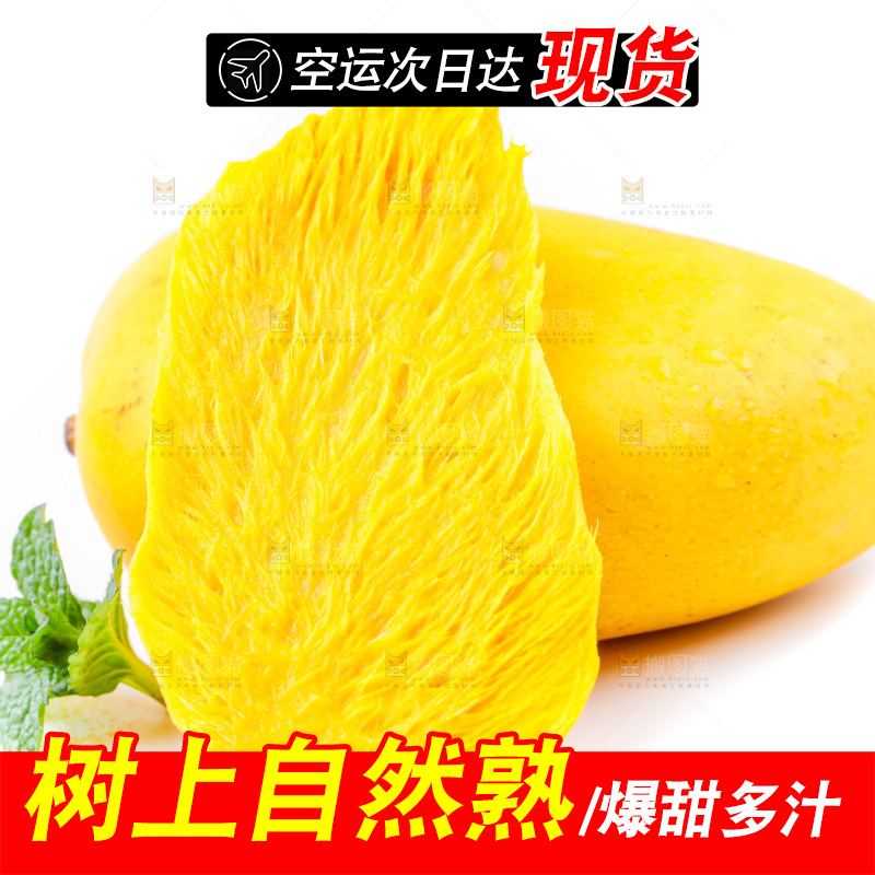 白底上的小台芒