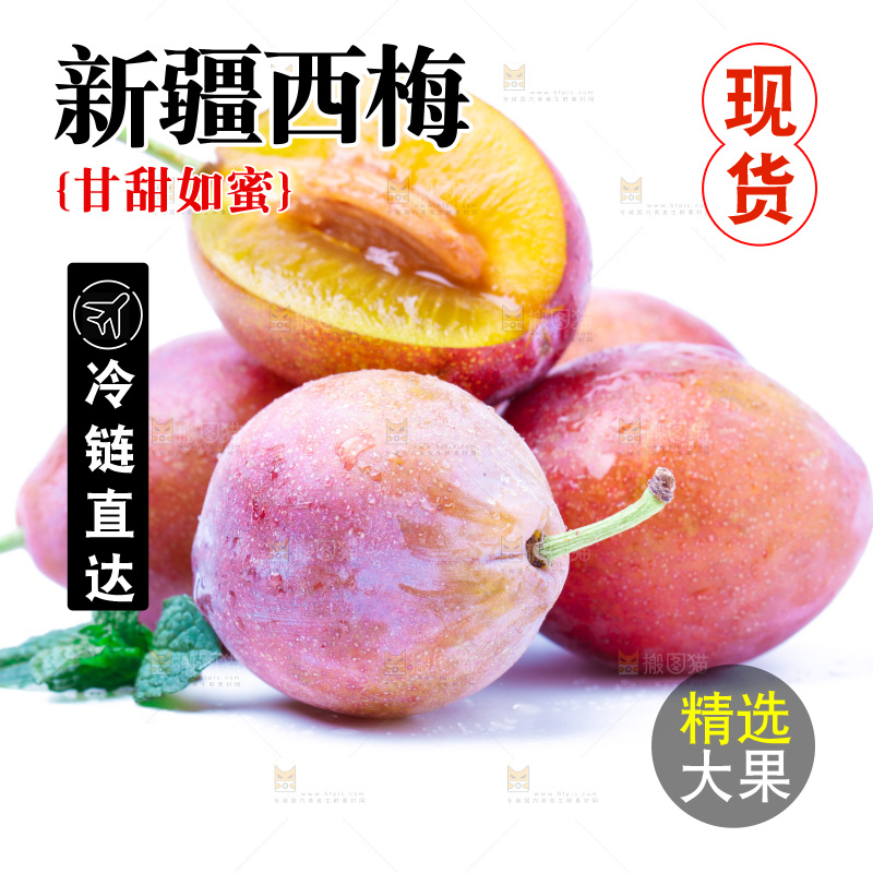 浅底上的新疆西梅