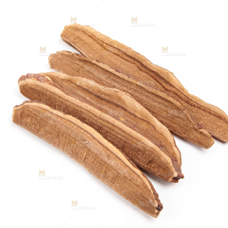 白底上的灵芝片