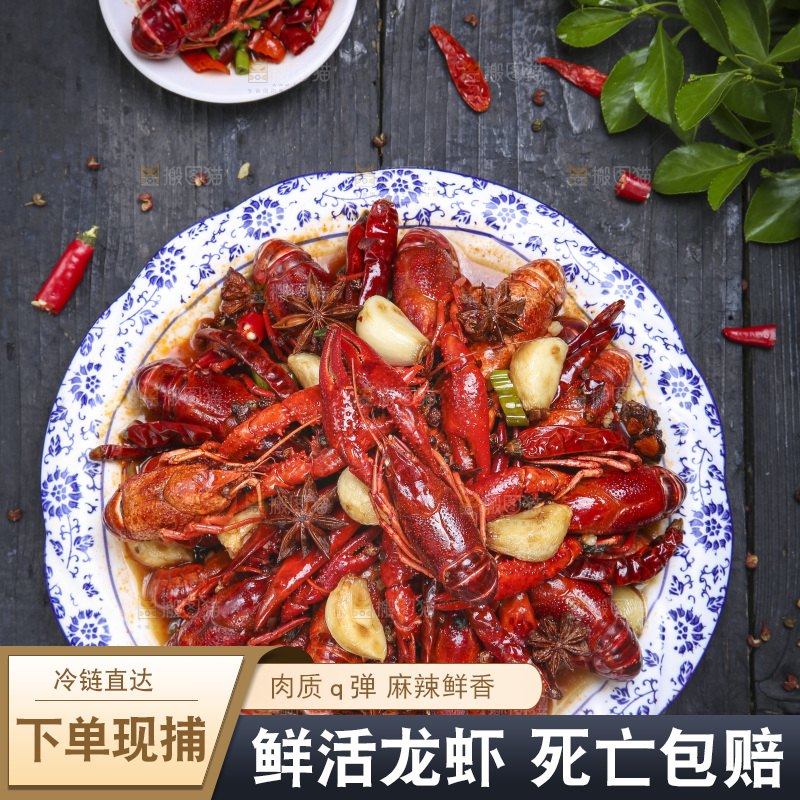 盘子里的麻辣小龙虾