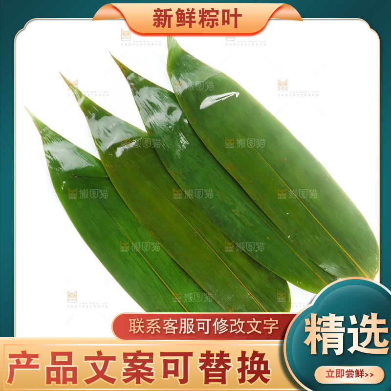 白底上的天然粽叶