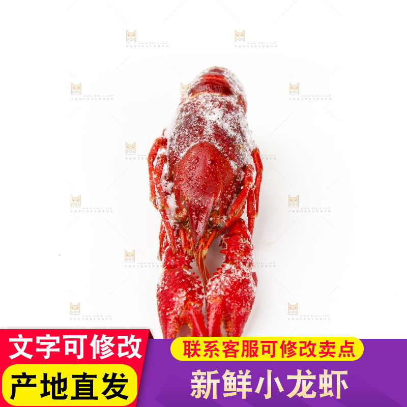 白底上的小龙虾