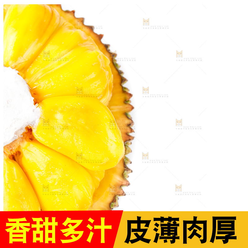 白底上的海南菠萝蜜