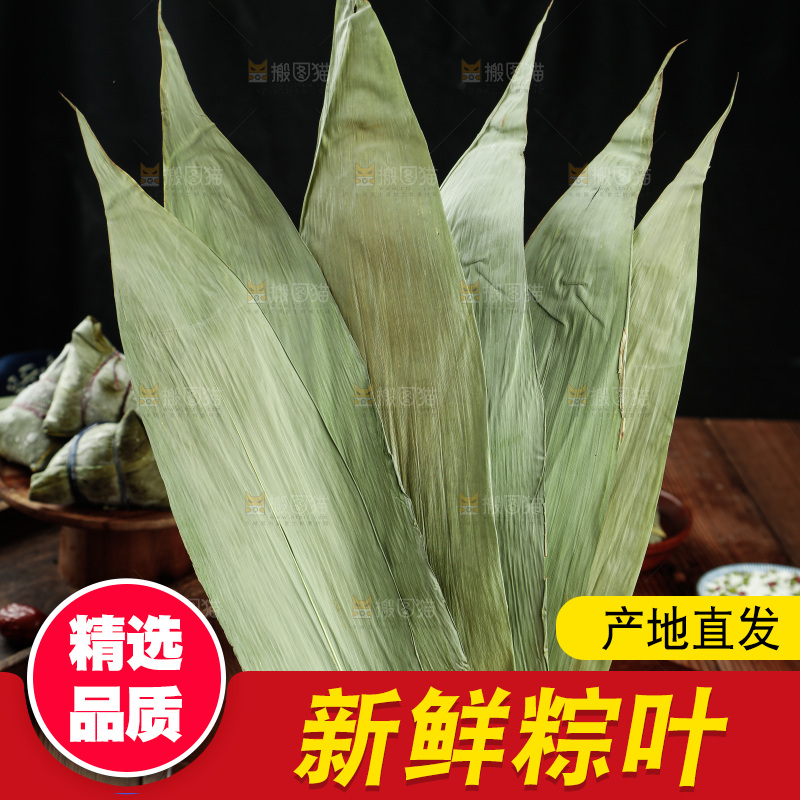 手里拿着粽子叶