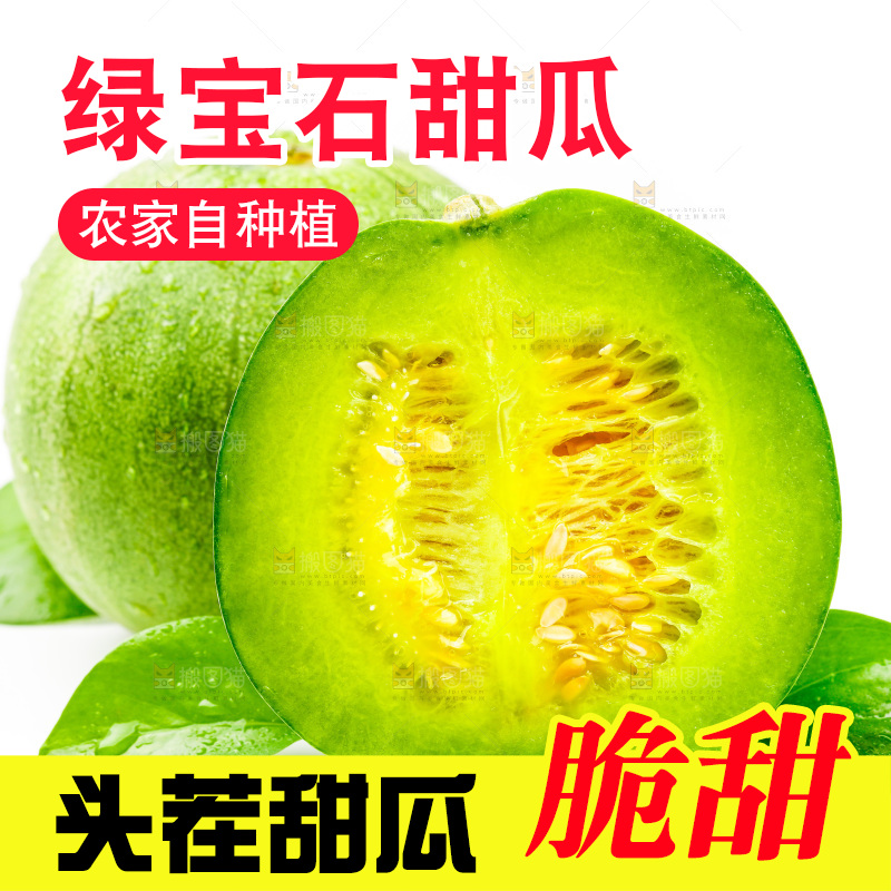 浅底上的山东绿宝石甜瓜