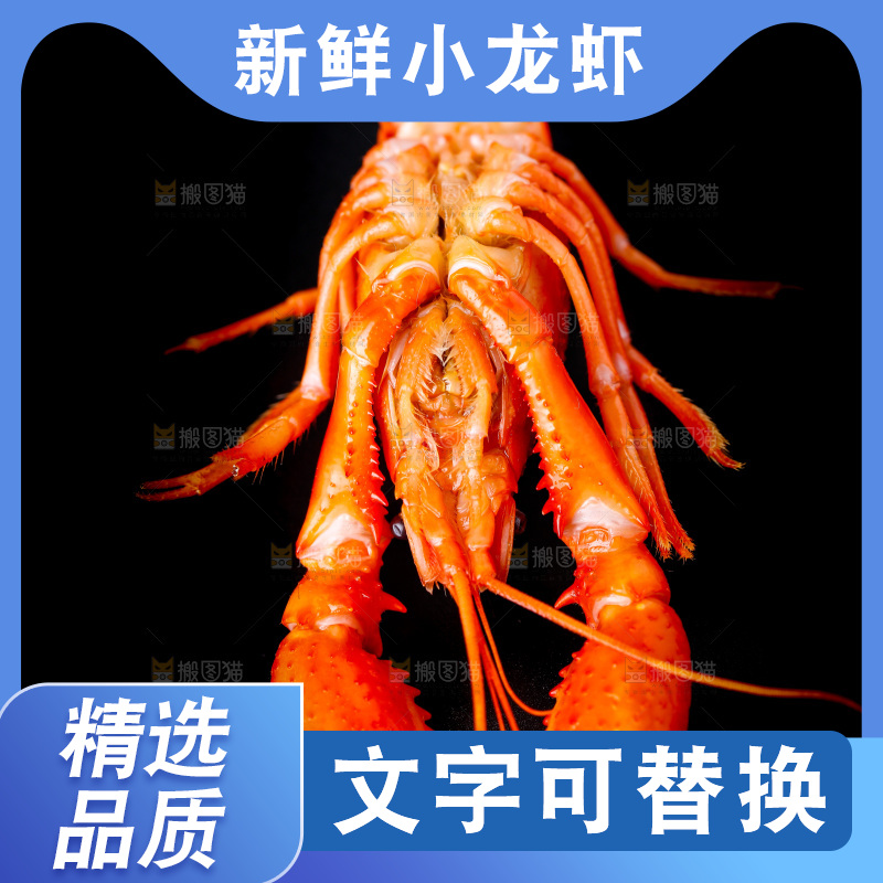 白底上的小龙虾