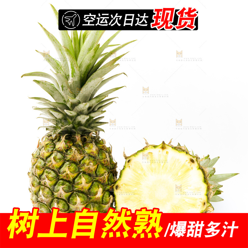 白底上摆放着海南凤梨