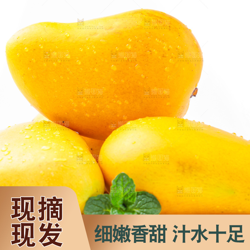 浅底上的海南小台农芒