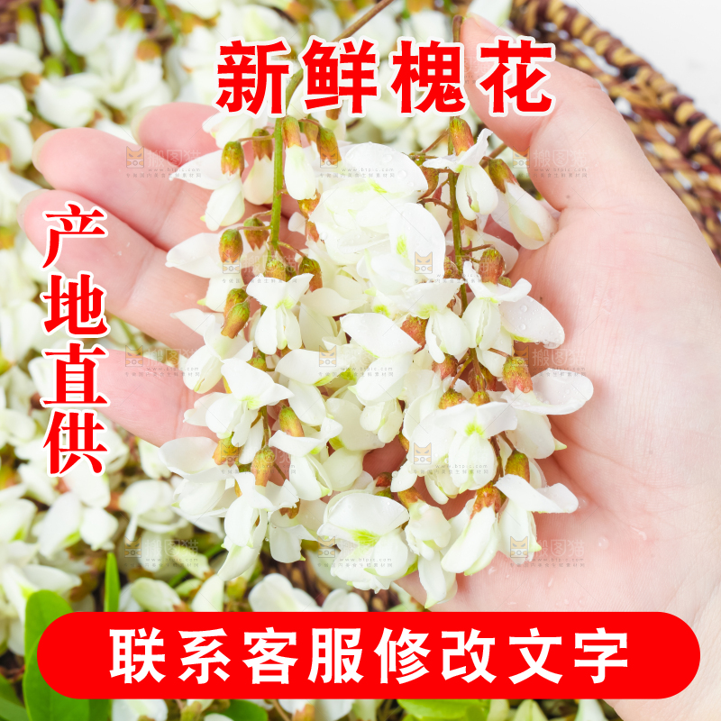 手里拿着新鲜槐花