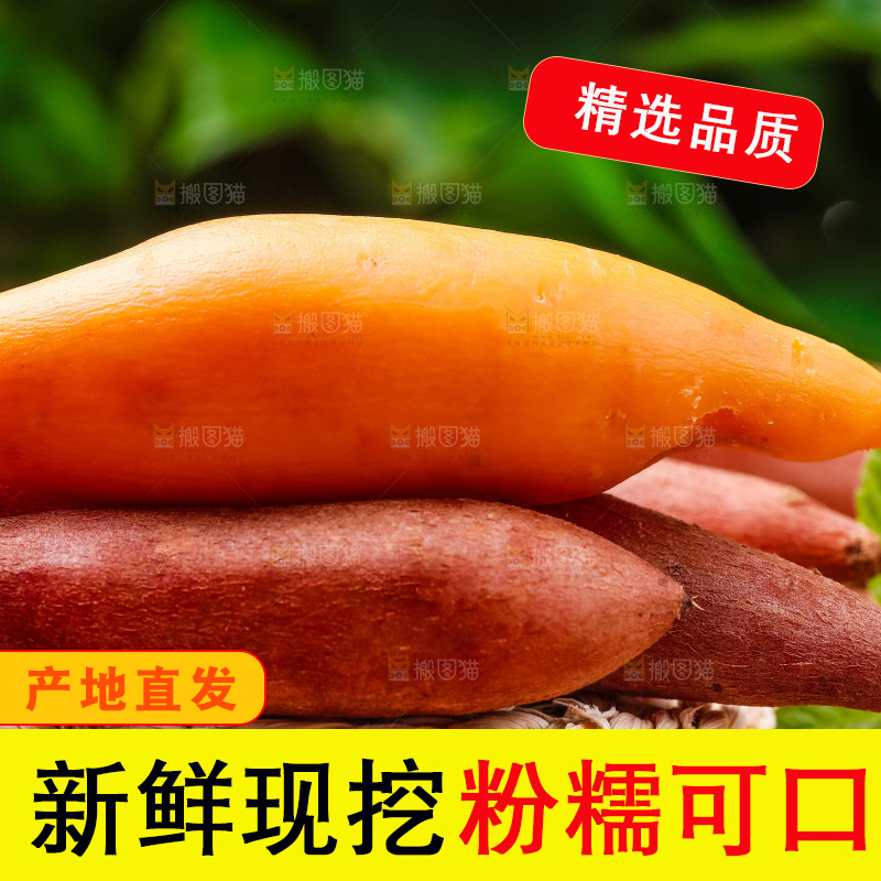 木底上摆放着蜜薯