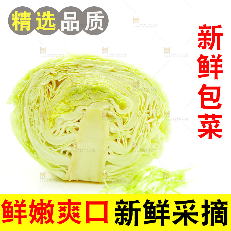 白底上的包菜