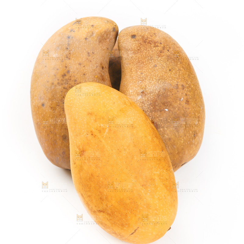 白底上的次品金煌芒