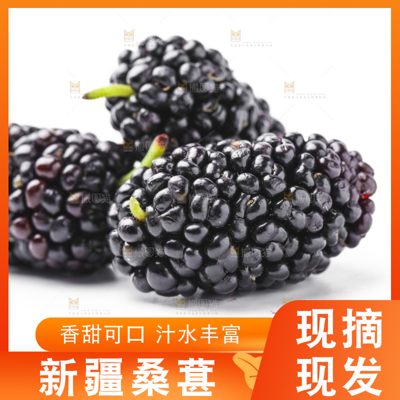 白底上摆放着桑葚