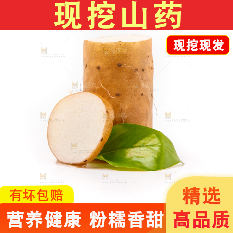 浅底上的新鲜山药
