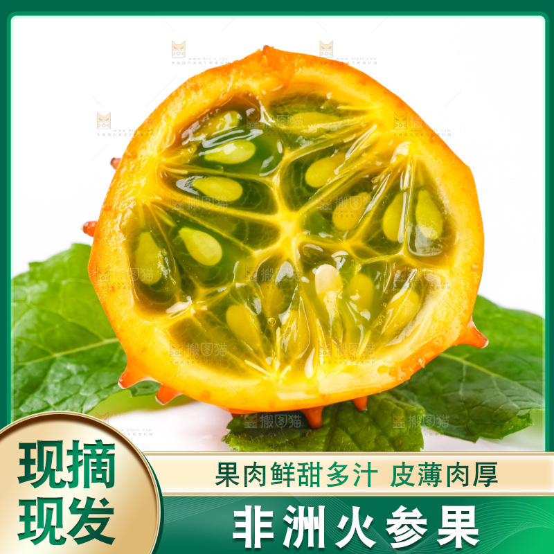 浅底上摆放着刺角瓜