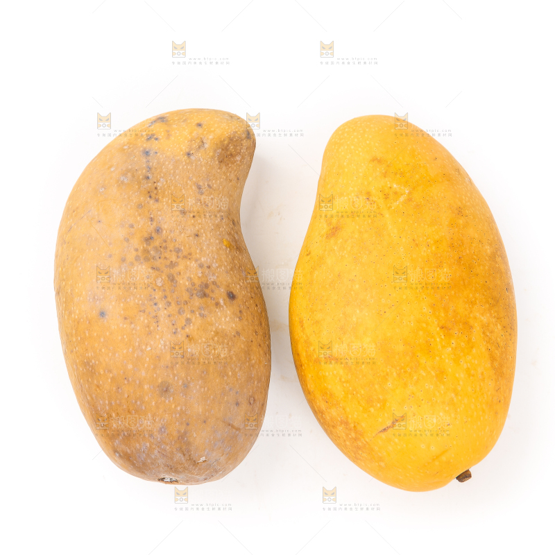 白底上放着残次品水仙芒