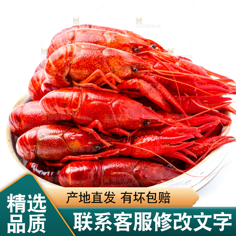 盘子里的清蒸小龙虾
