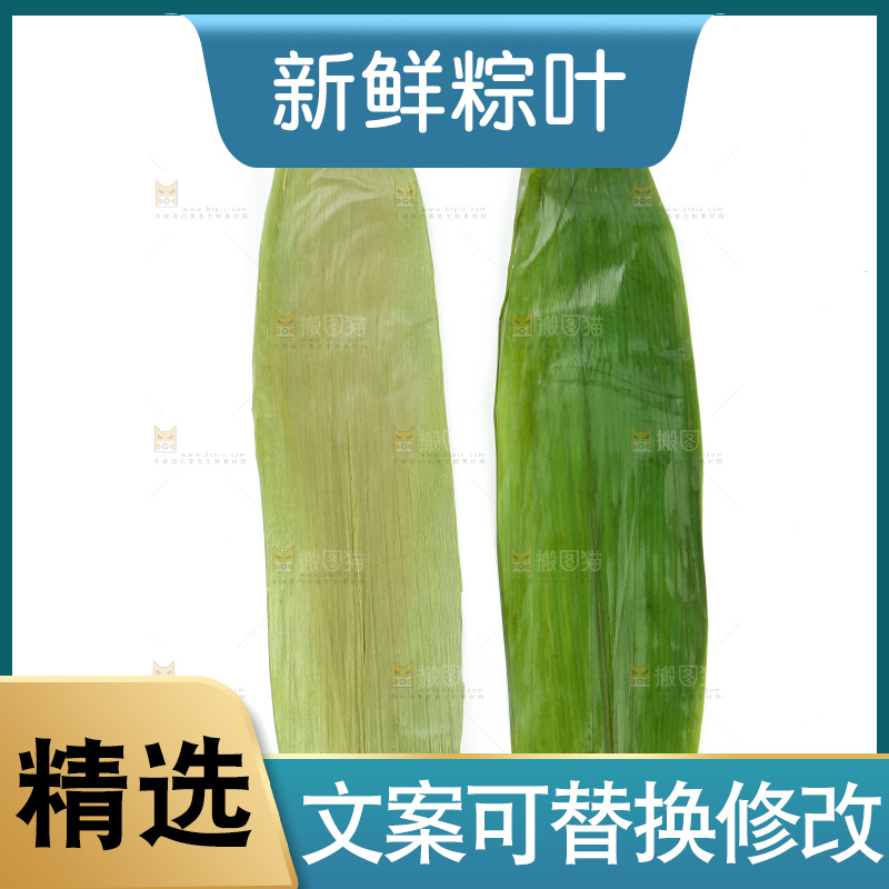白底上的天然粽叶