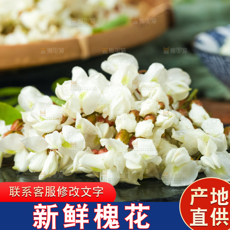 深底上摆放着野生洋槐花