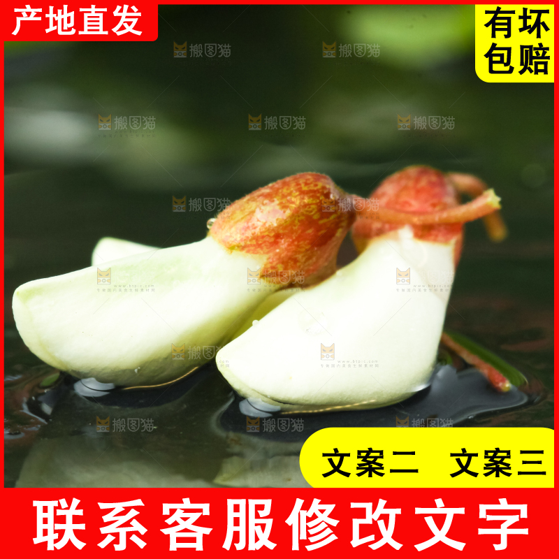 黑底上摆放着刺槐树花