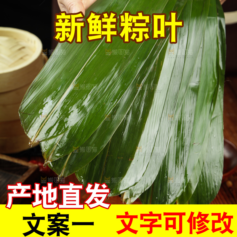 手里拿着天然粽子叶