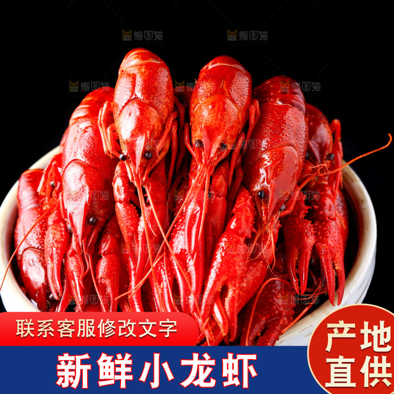 盘子里的清蒸小龙虾