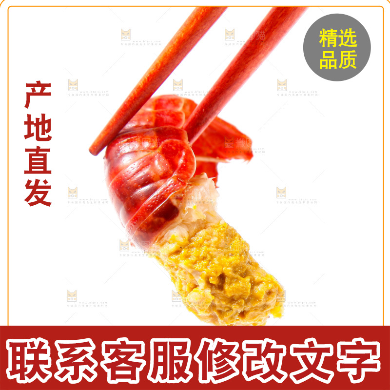 白底上的龙虾尾