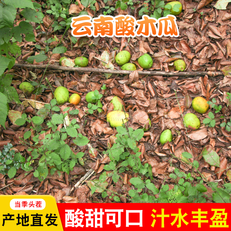 地上落着酸木瓜