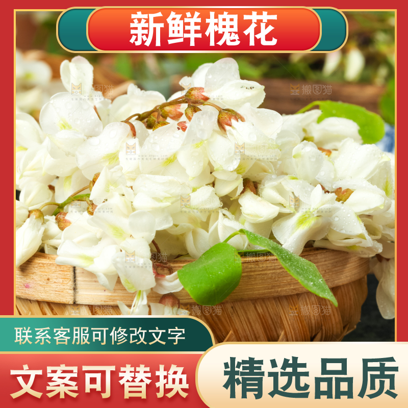 篮子里装着新鲜洋槐花