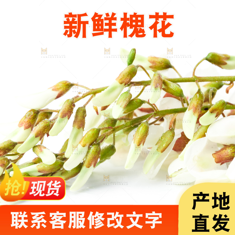 白底上放着杨槐树花