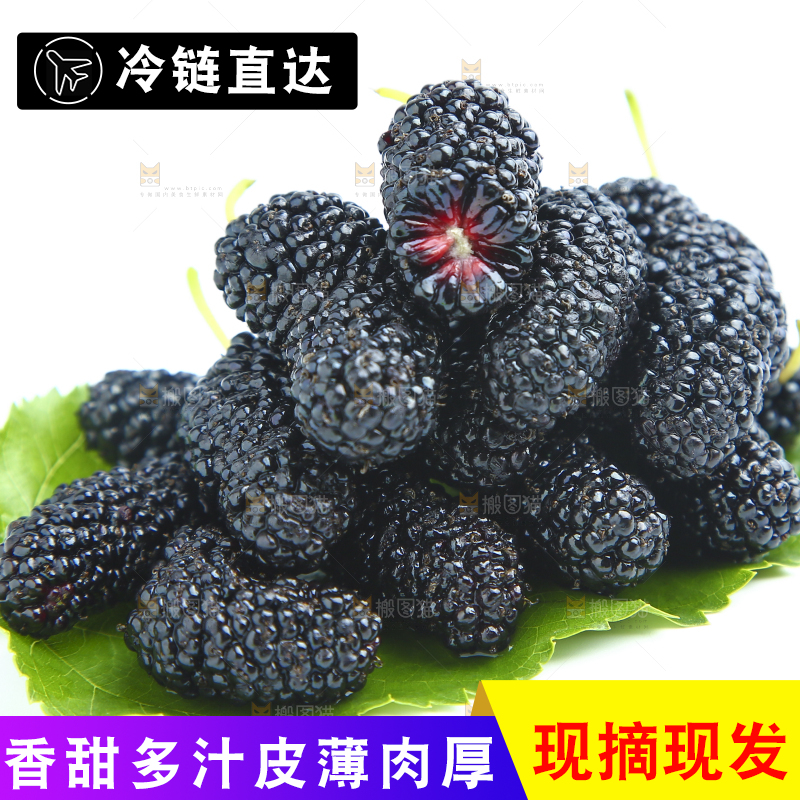 白底上的绿叶上放着一堆桑葚